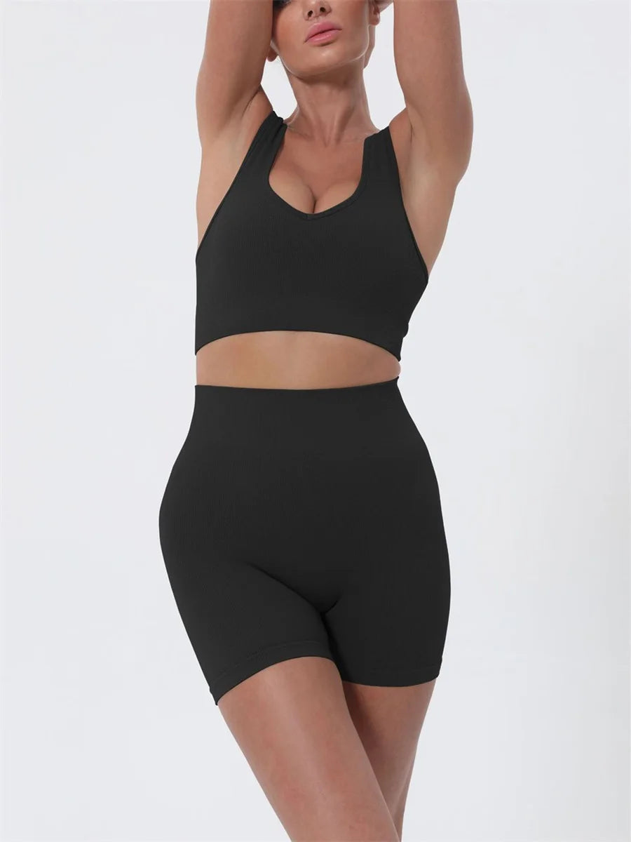 2 Piece Outfits Sleeveless Crop Tops High Waisted Shorts Set
